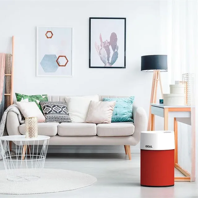 92057942_943709376077574_1611245343041512991_n_11zon