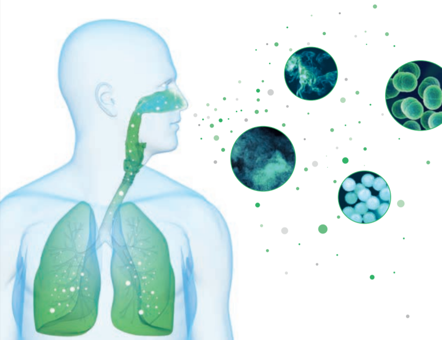 MicrosoftTeams-image (6)